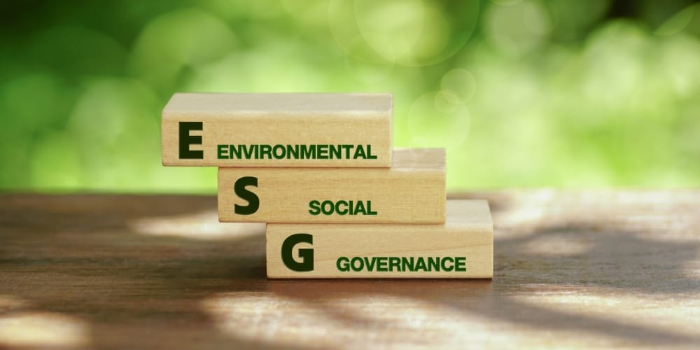 Provide sustainability and ESG awareness programmes